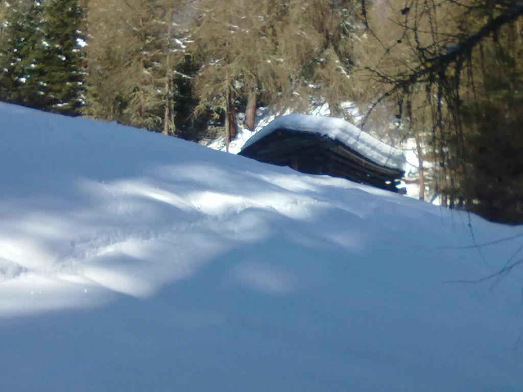 Landhaus Auen Neustift im Stubaital Zewnętrze zdjęcie