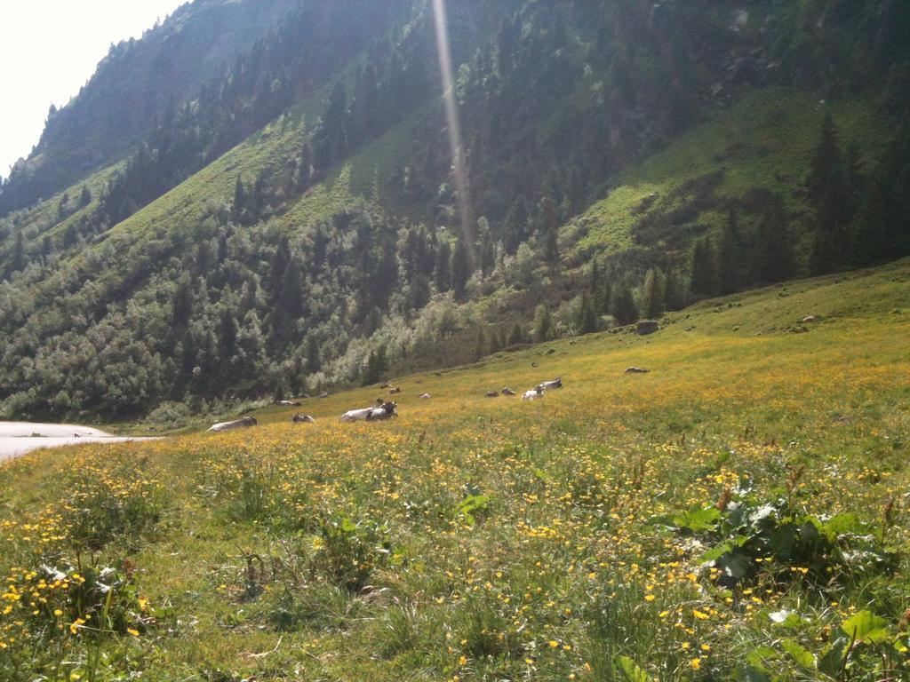 Landhaus Auen Neustift im Stubaital Zewnętrze zdjęcie